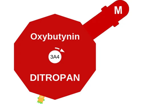 Oxybutynin ballicule — decagon diagram of its receptor and enzyme targets