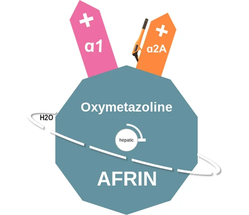 Oxymetazoline ballicule — decagon diagram of its receptor and enzyme targets
