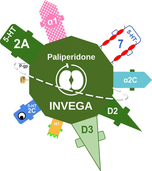 Paliperidone ballicule — decagon diagram of its receptor and enzyme targets