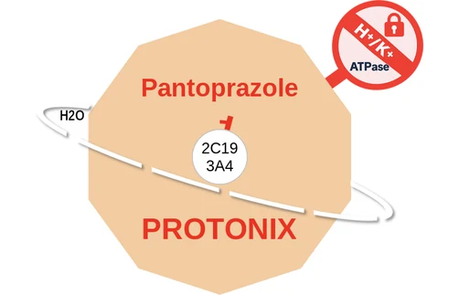 Pantoprazole ballicule — decagon diagram of its receptor and enzyme targets