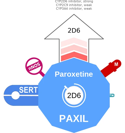 Paroxetine ballicule — decagon diagram of its receptor and enzyme targets