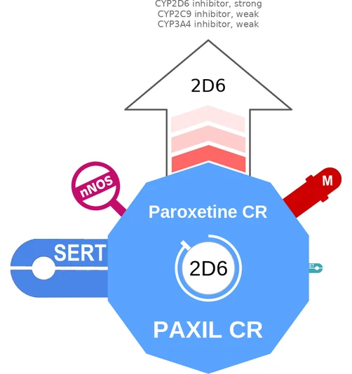 Paroxetine CR ballicule — decagon diagram of its receptor and enzyme targets
