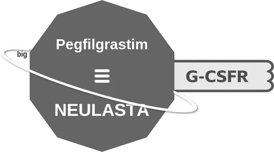 Pegfilgrastim ballicule — decagon diagram of its receptor and enzyme targets