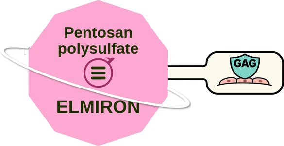 Pentosan polysulfate ballicule — decagon diagram of its receptor and enzyme targets