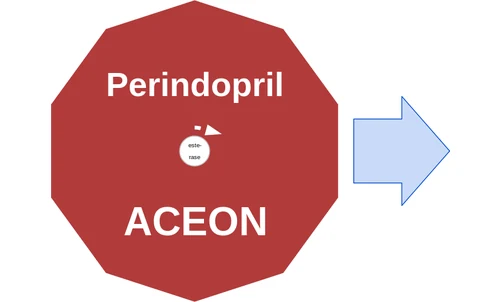 Perindopril ballicule — decagon diagram of its receptor and enzyme targets