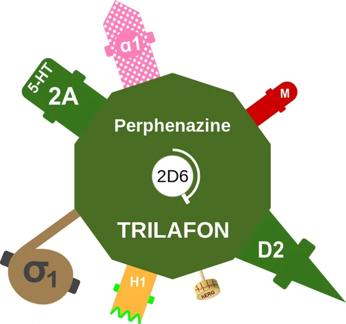 Perphenazine ballicule — decagon diagram of its receptor and enzyme targets