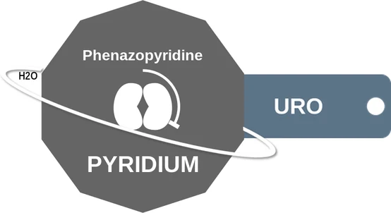 Phenazopyridine ballicule — decagon diagram of its receptor and enzyme targets