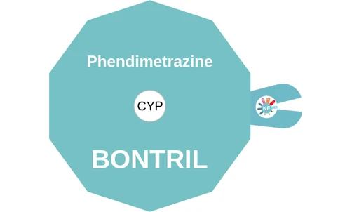 Phendimetrazine ballicule — decagon diagram of its receptor and enzyme targets