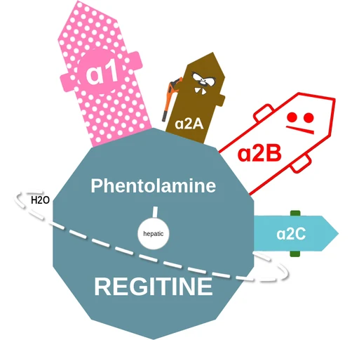 Phentolamine ballicule — decagon diagram of its receptor and enzyme targets