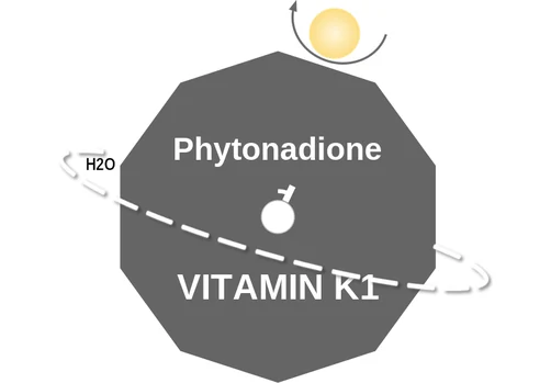 Phytonadione ballicule — decagon diagram of its receptor and enzyme targets