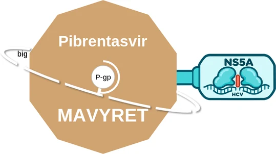 Pibrentasvir ballicule — decagon diagram of its receptor and enzyme targets