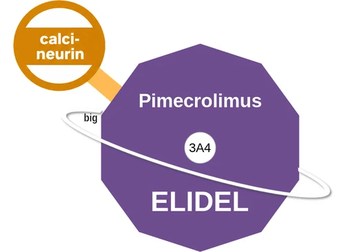 Pimecrolimus ballicule — decagon diagram of its receptor and enzyme targets