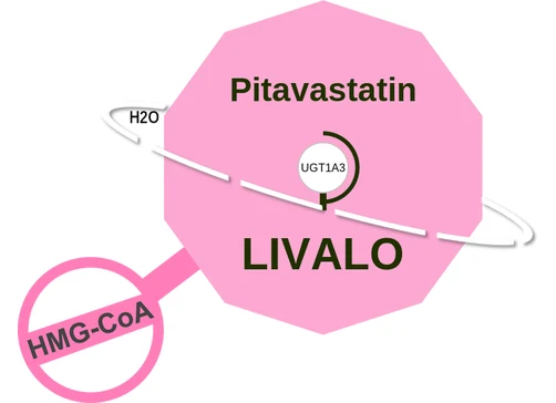 Pitavastatin ballicule — decagon diagram of its receptor and enzyme targets