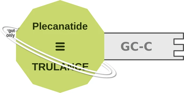 Plecanatide ballicule — decagon diagram of its receptor and enzyme targets