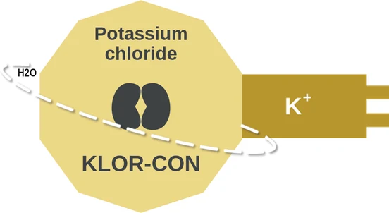 Potassium chloride ballicule — decagon diagram of its receptor and enzyme targets