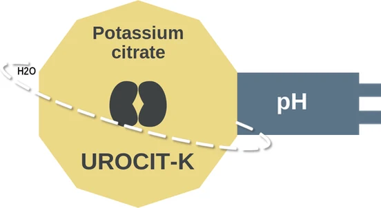 Potassium citrate ballicule — decagon diagram of its receptor and enzyme targets