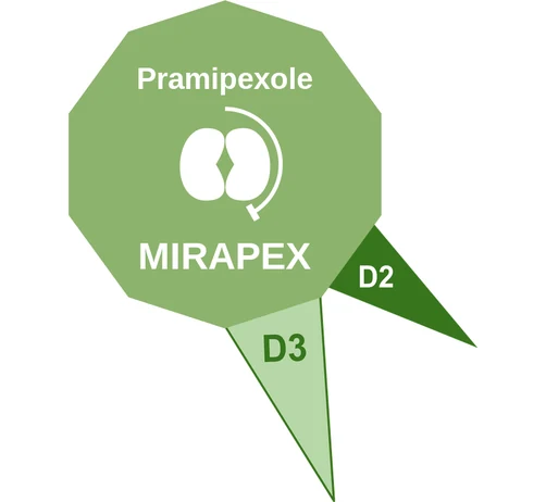 Pramipexole ballicule — decagon diagram of its receptor and enzyme targets