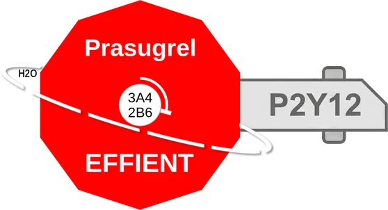 Prasugrel ballicule — decagon diagram of its receptor and enzyme targets