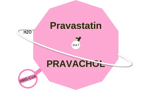 Pravastatin ballicule — decagon diagram of its receptor and enzyme targets