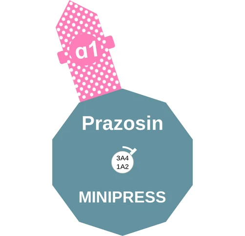 Prazosin ballicule — decagon diagram of its receptor and enzyme targets