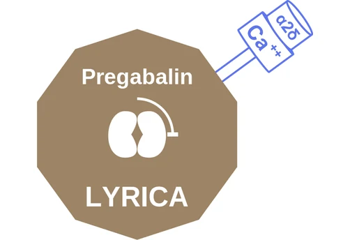 Pregabalin ballicule — decagon diagram of its receptor and enzyme targets