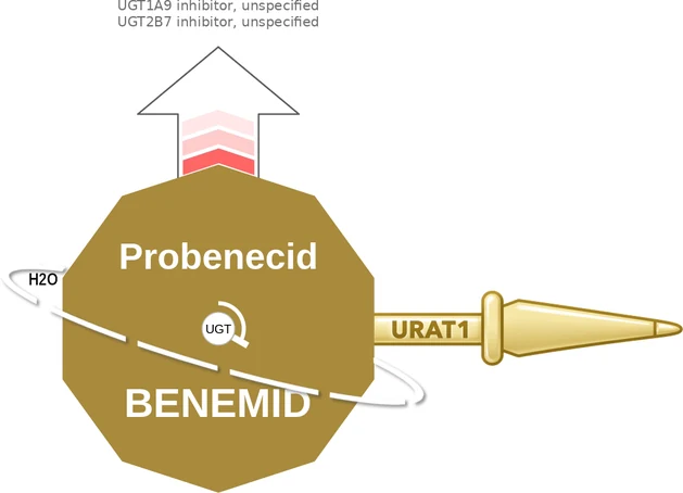 Probenecid ballicule — decagon diagram of its receptor and enzyme targets