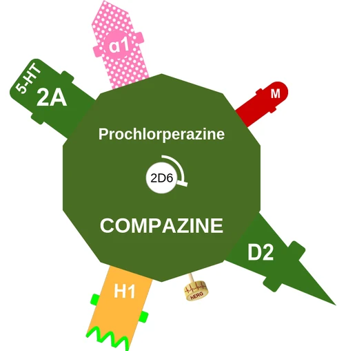 Prochlorperazine ballicule — decagon diagram of its receptor and enzyme targets