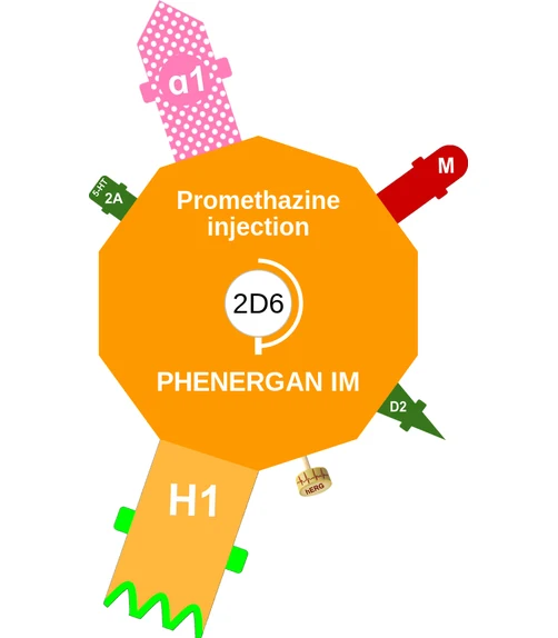 Promethazine injection ballicule — decagon diagram of its receptor and enzyme targets