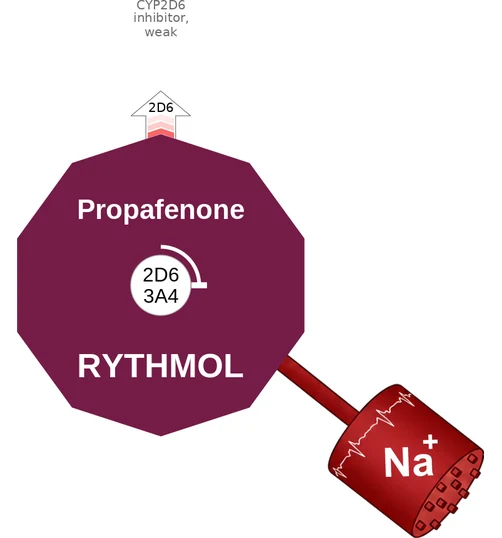 Propafenone ballicule — decagon diagram of its receptor and enzyme targets
