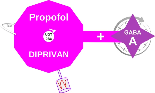 Propofol ballicule — decagon diagram of its receptor and enzyme targets