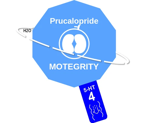 Prucalopride ballicule — decagon diagram of its receptor and enzyme targets