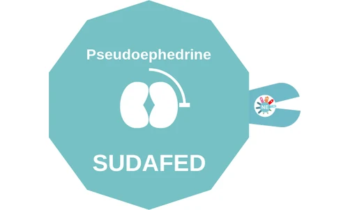 Pseudoephedrine ballicule — decagon diagram of its receptor and enzyme targets