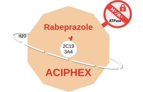 Rabeprazole ballicule — decagon diagram of its receptor and enzyme targets