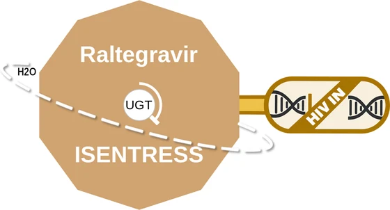 Raltegravir ballicule — decagon diagram of its receptor and enzyme targets