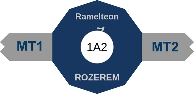 Ramelteon ballicule — decagon diagram of its receptor and enzyme targets