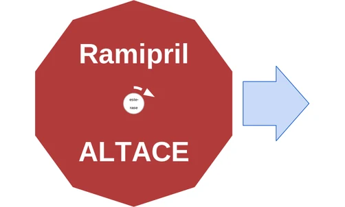 Ramipril ballicule — decagon diagram of its receptor and enzyme targets