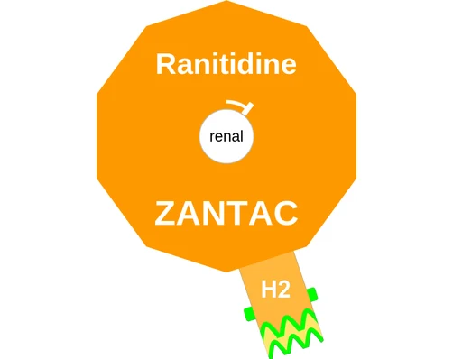 Ranitidine ballicule — decagon diagram of its receptor and enzyme targets