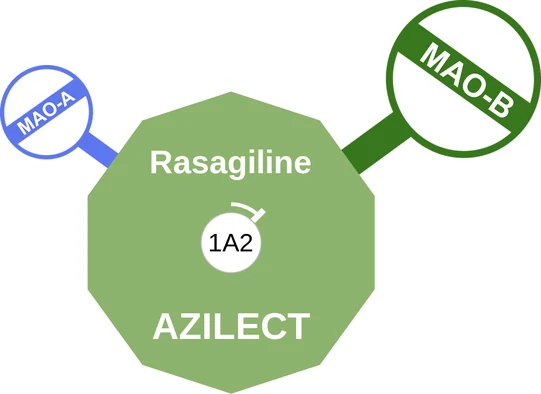 Rasagiline ballicule — decagon diagram of its receptor and enzyme targets