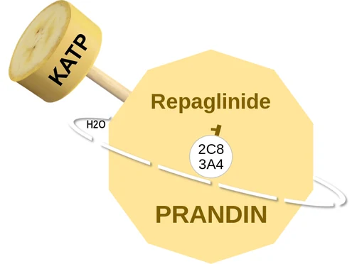 Repaglinide ballicule — decagon diagram of its receptor and enzyme targets