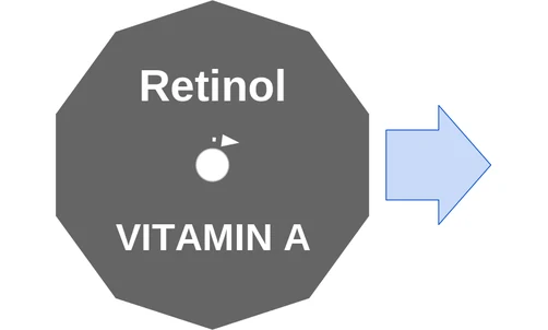 Retinol ballicule — decagon diagram of its receptor and enzyme targets