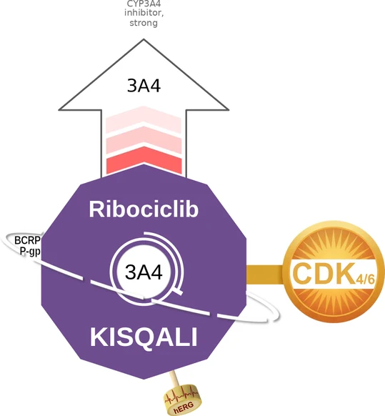 Ribociclib ballicule — decagon diagram of its receptor and enzyme targets