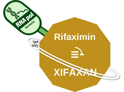 Rifaximin ballicule — decagon diagram of its receptor and enzyme targets