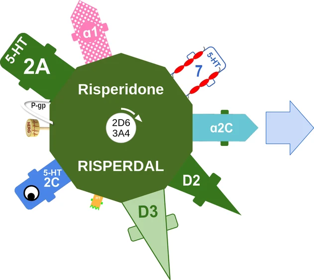 Risperidone ballicule — decagon diagram of its receptor and enzyme targets
