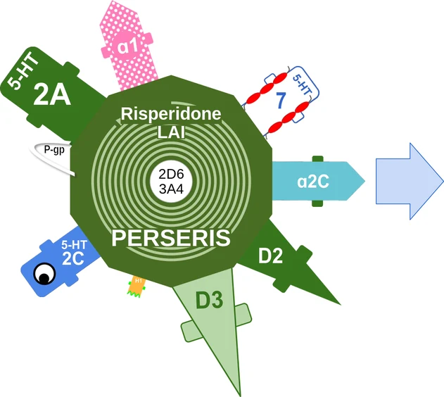 Risperidone LAI ballicule — decagon diagram of its receptor and enzyme targets
