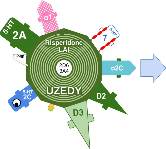 Risperidone LAI ballicule — decagon diagram of its receptor and enzyme targets