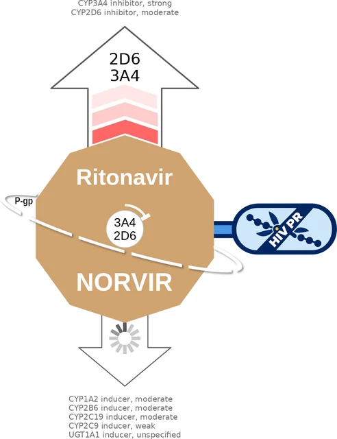 Ritonavir ballicule — decagon diagram of its receptor and enzyme targets