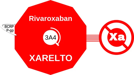 Rivaroxaban ballicule — decagon diagram of its receptor and enzyme targets