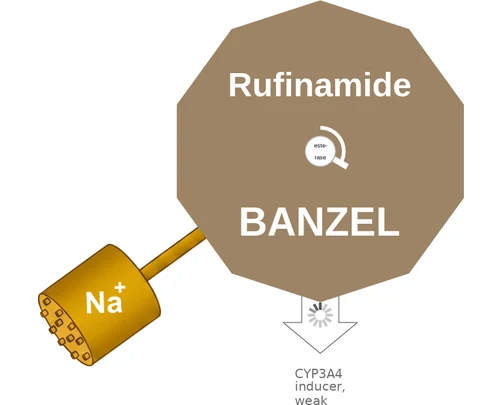 Rufinamide ballicule — decagon diagram of its receptor and enzyme targets