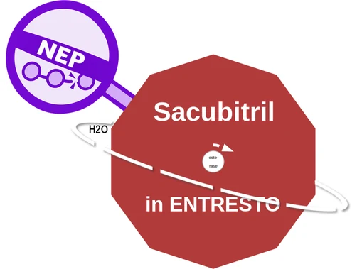 Sacubitril ballicule — decagon diagram of its receptor and enzyme targets