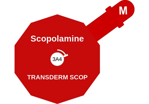 Scopolamine ballicule — decagon diagram of its receptor and enzyme targets